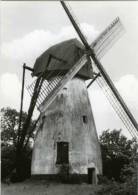 MOL (Prov. Antwerpen) - Molen/moulin - Stenen Ezaartmolen Met Eigenaardige Kap, Vóór De Restauratie. - Mol