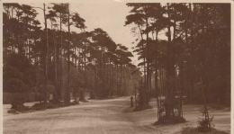 MANOR ROAD / BOURNEMOUTH - Bournemouth (avant 1972)