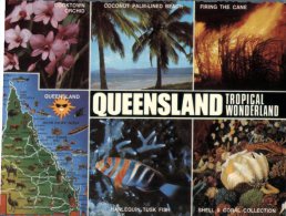 (232) Australia - QLD - Tropical Map - Gold Coast