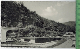 Luftkurort Lonau/Harz, Waldschwimmbad  Um 1950/1960, Verlag: Lederbogen, Goslar , POSTKARTE,  Ohne Frankatur, - Herzberg