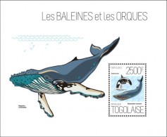 Togo. 2013 Whales And Orcas. (623b) - Walvissen