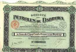 Titre Pétrole De Dabrowa (siège Social à Lille 59) - Pétrole