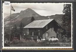 LES PACCOTS SUR CHATEL SAINT DENIS - LES SAPINS  - TB - Châtel-Saint-Denis