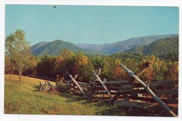 Autumn In Cades Cove - Beatifully Colored Leaves Clearly Mark Autumn In Great Smoky Mountains National Park 1969 - Smokey Mountains