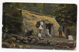 Cpa - Old Hawaiian Grass Hut - 1911 - Autres & Non Classés