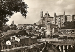 Urbino - Panorama - Urbino