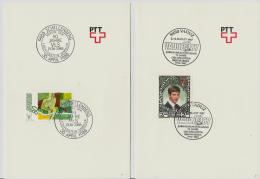 =LIECHTENSTEIN SST*2 1988 - Macchine Per Obliterare (EMA)