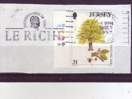 TREE-BEECH-31 P-FAGUS SYLVATICA-PLATE-POSTMARK- LE RICHE-JERSEY-1997 - Sin Clasificación