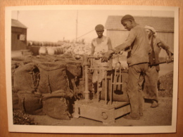 PHOTO ANNEES 1940 - ALGERIE PORT D'ORAN PESEE CHARBON MARINE MARCHANDE FRANCAISE - BORGE Tirage D'époque 18X12 - Places