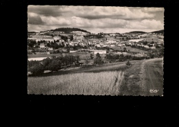 BELMONT DE LA LOIRE Loire 42 : Vue Générale 1954 - Belmont De La Loire