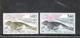 TAAF : Phoque Crabier (Lobodon Carcinophaga)- Mammifère Carnivore - Pinipédes -  Faune Antarctique - - Nuevos