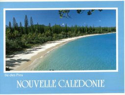 (765) New Caledonia - Ile Des Pins - New Caledonia