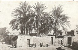 Cpa Luxor Native Village - Louxor