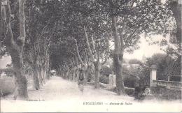 EYGUIERES - Avenue De Salon - Eyguieres