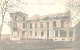 BELGIQUE.  HANNUT.  CHÂTEAU DE M. LE NOTAIRE SNYERS-WAUTHIER.  GROS PLAN. - Hannuit