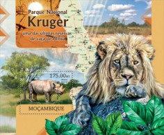 Mozambique. 2012 Kruger National Park. (322b) - Rhinozerosse