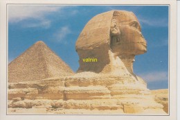 Sphinx De Gizeh - Sphynx