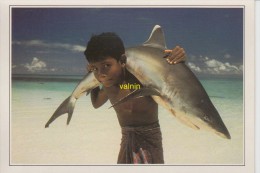 The Maldives White Tripped Shark Carried By A Young Child - Maldive
