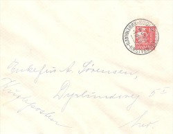 DENMARK # Letter Sent With Ball Post Copenhagen - Næstved From The Year 1935 - Interi Postali