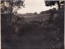 Photo Originale 1918 LE QUESNOY - Mur Et Tranchée (A41, Ww1, Wk1) - Le Quesnoy