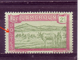 BUFFALO-2 C-ERROR-CAMEROON-1925 - Vaches