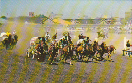 Canada Chuckwagon Races Calgary Stampede Calgary Alberta - Calgary