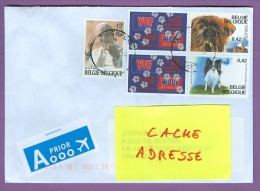 Enveloppe BELGIQUE - 5 Tp : Pape Jean-Paul II (1985) / Chiens Griffon Bruxellois Papillon Wouf Revue Chiens - Storia Postale