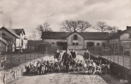 18 - VOUZERON / EQUIPAGE VOUZERON SOLOGNE - SORTIE DU CHENIL (CAHSSE A COURRE) - Vouzeron