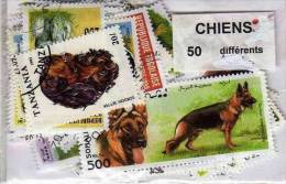 CHIENS Lot De 50 Timbres Tous Differents Neufs Et Oblitérés. Satisfaction Assurée - Caballos