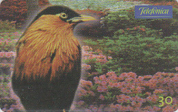 Télécarte Brésil - ANIMAL - OISEAU Exotique - MARTIN DES PAGODES - Bird Brazil Phonecard - Vogel Telefonkarte - 2362 - Zangvogels
