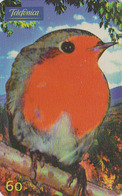 Télécarte Brésil - ANIMAL - OISEAU / ROUGE GORGE - Robin Song Bird Brazil Phonecard - Vogel Rotkehlchen - 2366 - Pájaros Cantores (Passeri)