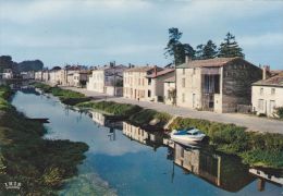 Cp , 79 , COULON , Marais Poitevin , Cathédrale De La Verdure , La Sèvre - Autres & Non Classés