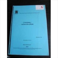 Rodolphe Ingold (OFDT/IREP) L'Ecstasy : Recherche Pilote, 1997, 100 Pages, Grand Format - Medicina & Salute