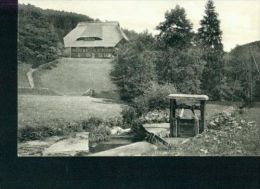 Lautenbachhof Bei Bad Teinach Sw Kleinformat 18.6.1974 - Bad Teinach