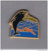 Pin´s  Sport  Natation,Animaux,  DAUPHIN  GRAYLOIS  Club  De  Natation  De  GRAY  ( 70 ) - Swimming