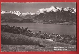 ABE-004 Hilterfingen Am Thunersee Blümlisalp Niesen  Gelaufen. - Hilterfingen