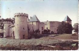 Cpsm 63 AIGUEPERSE - Le Château De LA ROCHE - D2 - Aigueperse