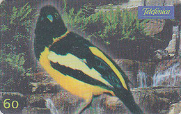 Télécarte Brésil - ANIMAL - OISEAU Exotique - ORIOLE - Bird Brazil Phonecard - Vogel Telefonkarte - 2371 - Songbirds & Tree Dwellers