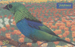 Télécarte Brésil - ANIMAL - OISEAU Exotique - TANGARA - Bird Brazil Phonecard - Vogel Telefonkarte - 2372 - Zangvogels