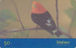 Télécarte Brésil - ANIMAL - OISEAU Exotique - MANAKIN A QUEUE BARREE - Bird Brazil Phonecard - Vogel Telefonkarte - 2373 - Uccelli Canterini Ed Arboricoli