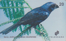 Télécarte Brésil - ANIMAL - OISEAU Exotique - EVEQUE DE BRISSON  - Bird Brazil Phonecard - Vogel Telefonkarte - 2375 - Songbirds & Tree Dwellers