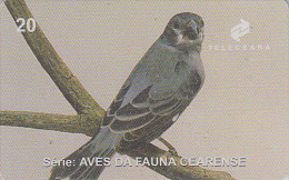 Télécarte Brésil - ANIMAL - OISEAU Exotique - SPOROPHILE GRIS DE PLOMB  - Bird Brazil Phonecard - Vogel TK - 2376 - Pájaros Cantores (Passeri)