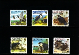 ALDERNEY - 2000  WWF   PEREGRINE FALCON  SET  MINT NH - Alderney