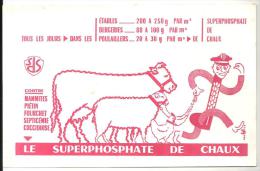 Buvard Agriculture Tous Les Jours, Dans Les étables, Bergeries, Poulaillers Le Superphosphate De Chaux (SDS) - Landwirtschaft