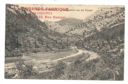 Ollioules (83) : Les Habitations Des Gorges En 1910 PF. - Ollioules