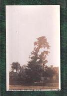 RP MERIDEN TREE Nr BICKENHILL ALLESLEY SOLIHULL COVENTRY BIRMINGHAM KNOWLE - Altri & Non Classificati