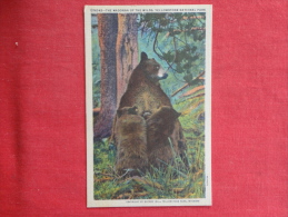 > Animals > Bears Madonna Of The Wilds Not Mailed  Ref  1097 - Ours