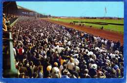 ETATS UNIS KENTUCKY LEXINGTON STRETCH DRIVE AT KEENELAND - Lexington