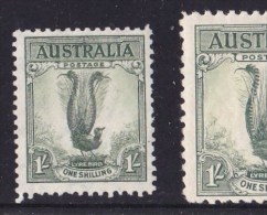 Australia 1937 Lyrebird (Small) 1/- MH  SG 174 - Ungebraucht