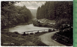 Neuhaus, Reihertal Im Solling  Um 1950/1960, Verlag: Foto-Fritz, Karlshafen/Weser  POSTKARTE, Erhaltung: I-II, - Holzminden